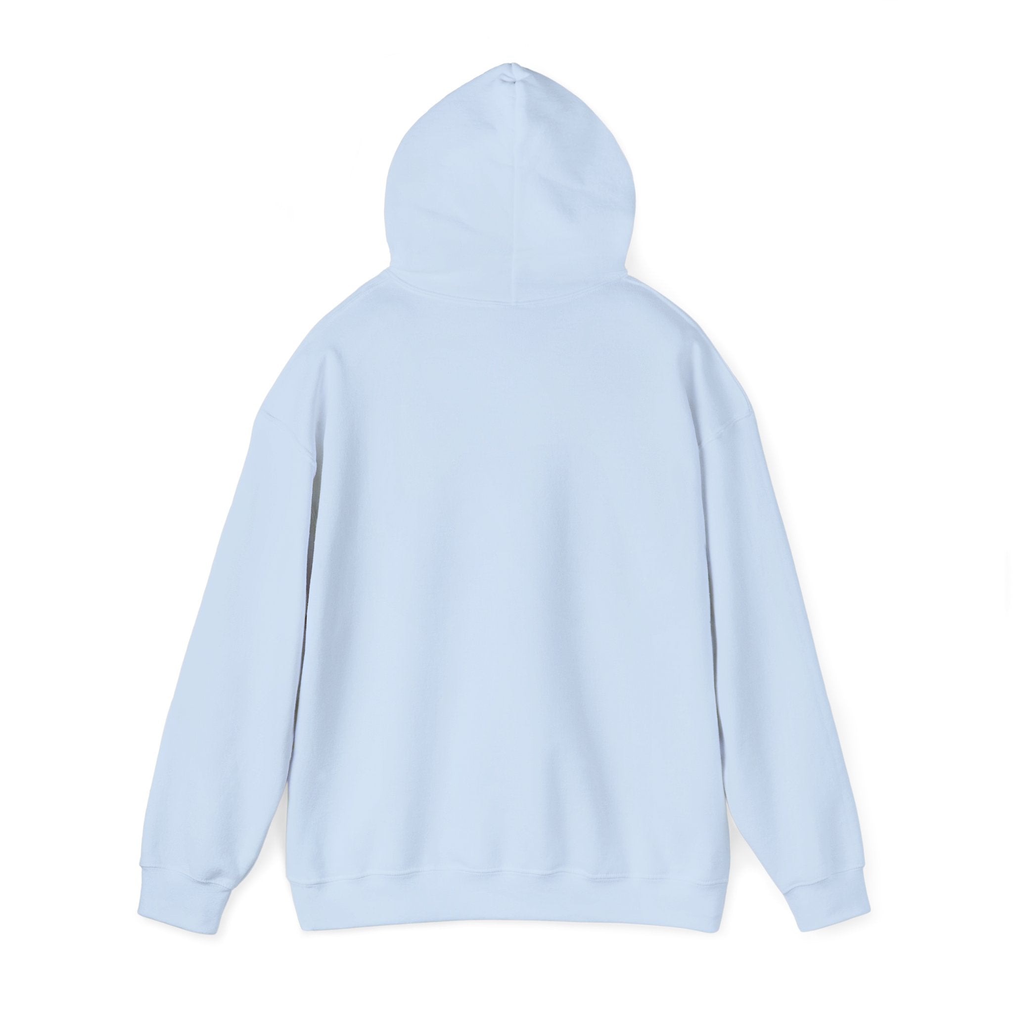 Emotional Support Maine Coon Hoodie
