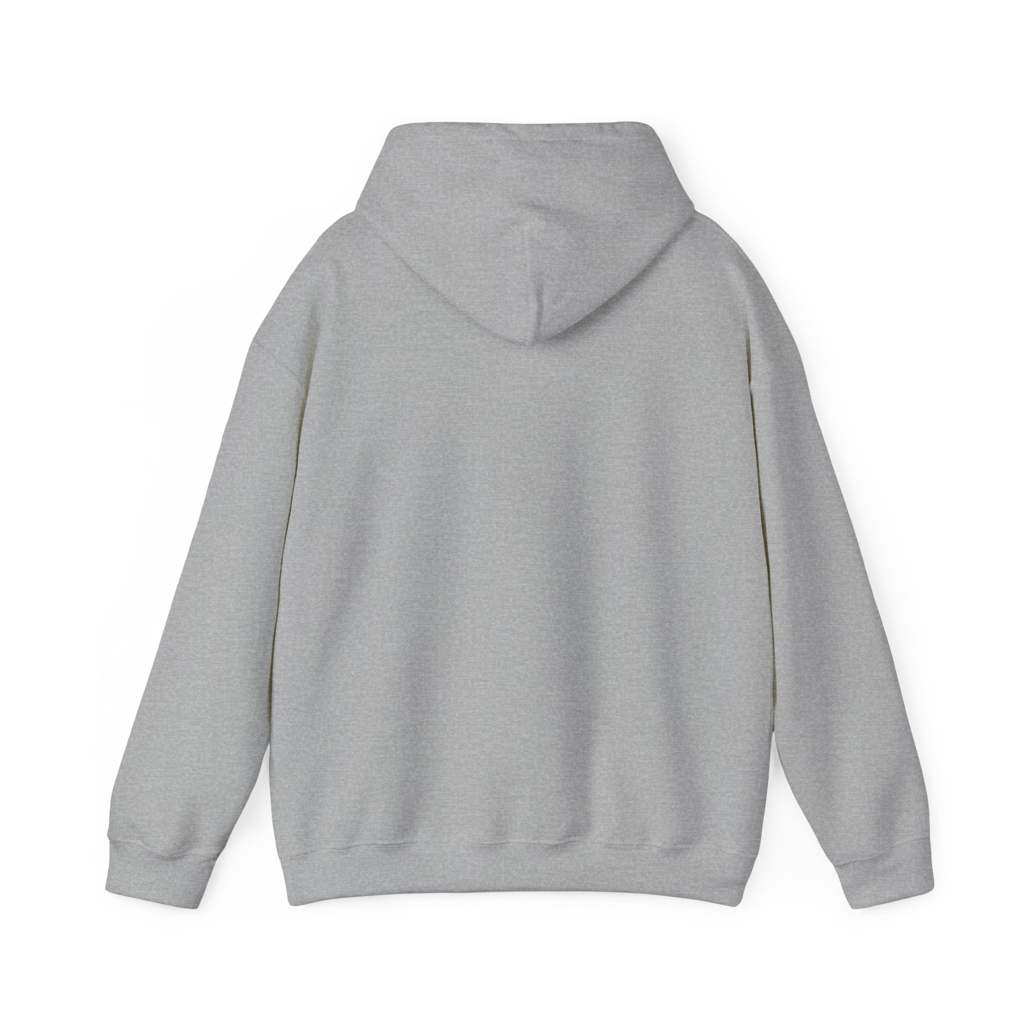 Emotional Support Dragon Turtle Hoodie