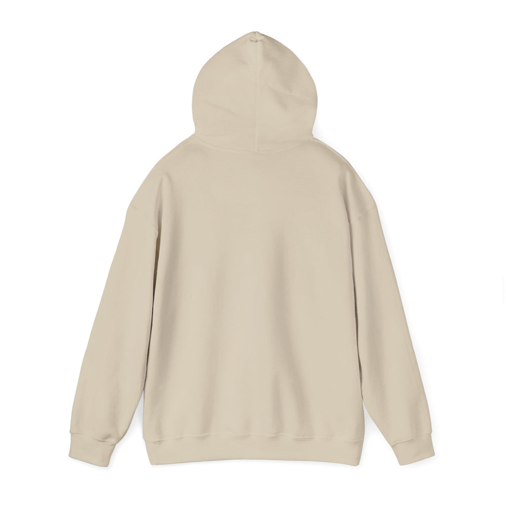 Emotional Support Dragon Turtle Hoodie