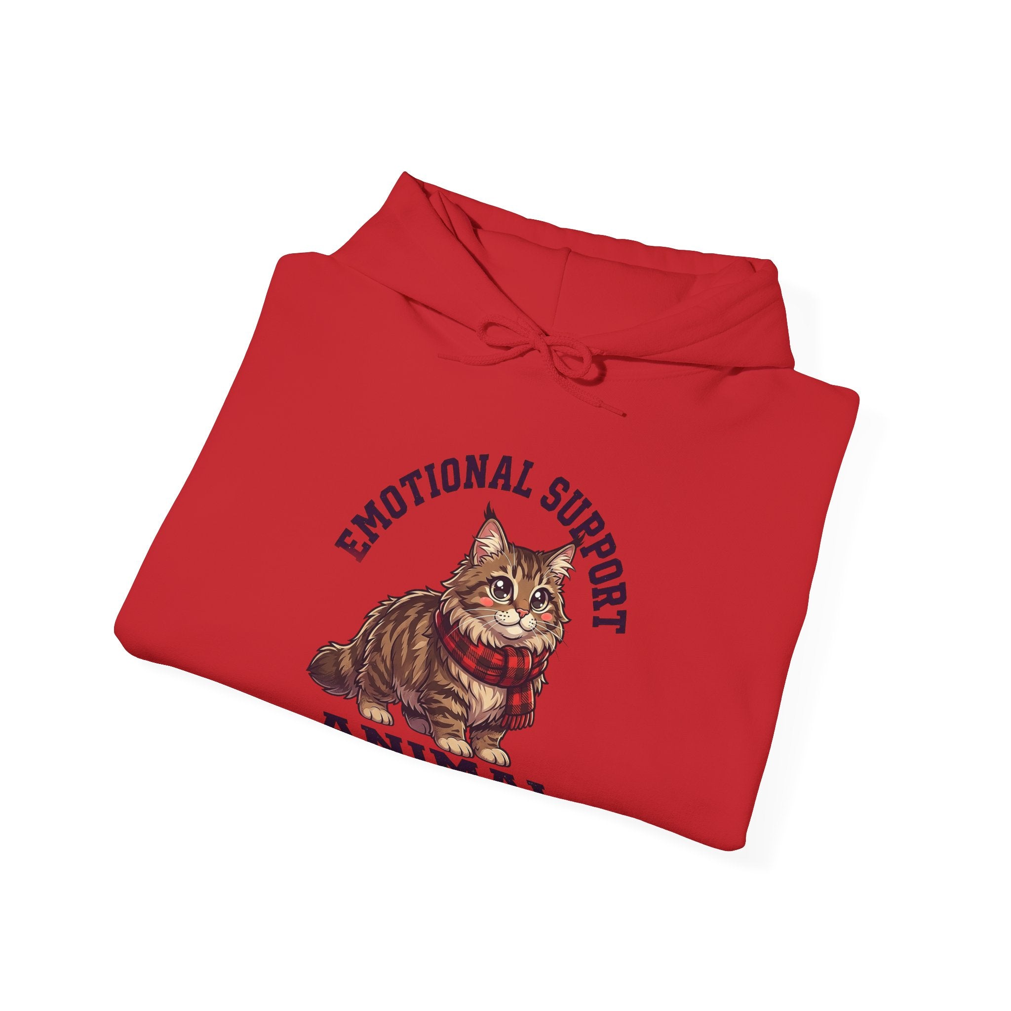 Emotional Support Maine Coon Hoodie