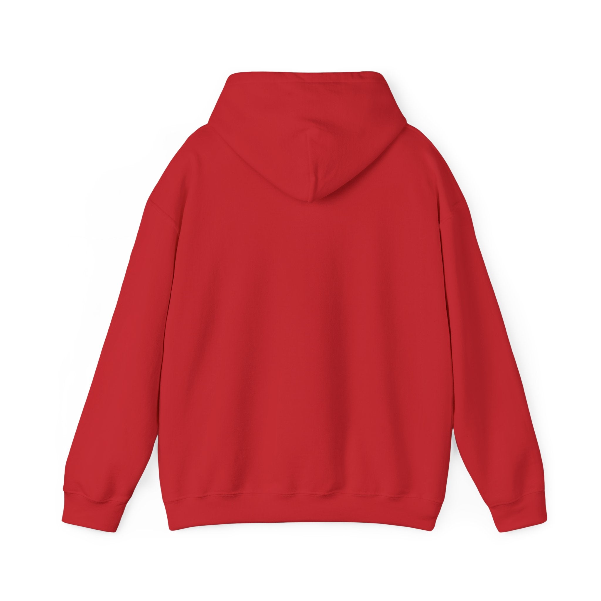 Emotional Support Hedgehog Hoodie
